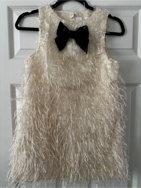 Fancy Girls Dress